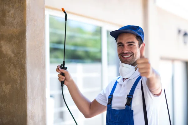 Sanger Wasp Removal