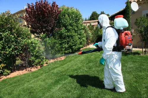 Sanger Mosquito Control