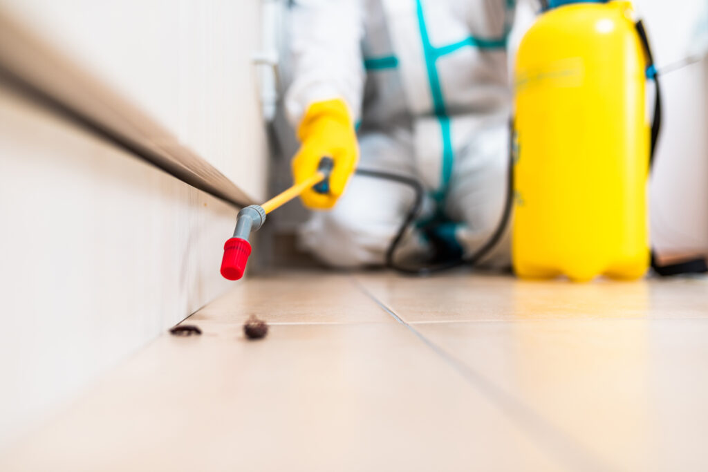 Sanger Cockroach Experts