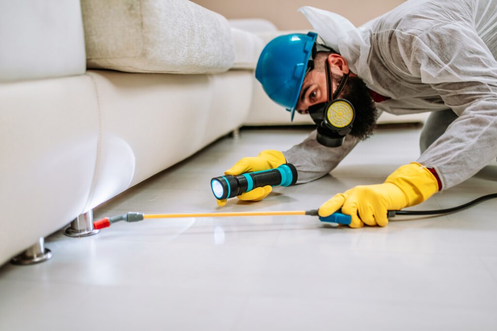 Sanger Termite Control