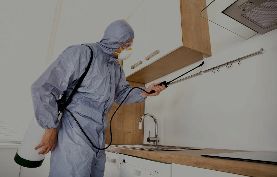 Sanger pest managment